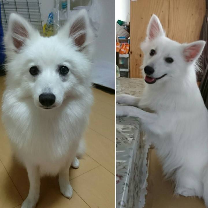 Eee2ca4a 6367 4ede b8d3 881a677069dc