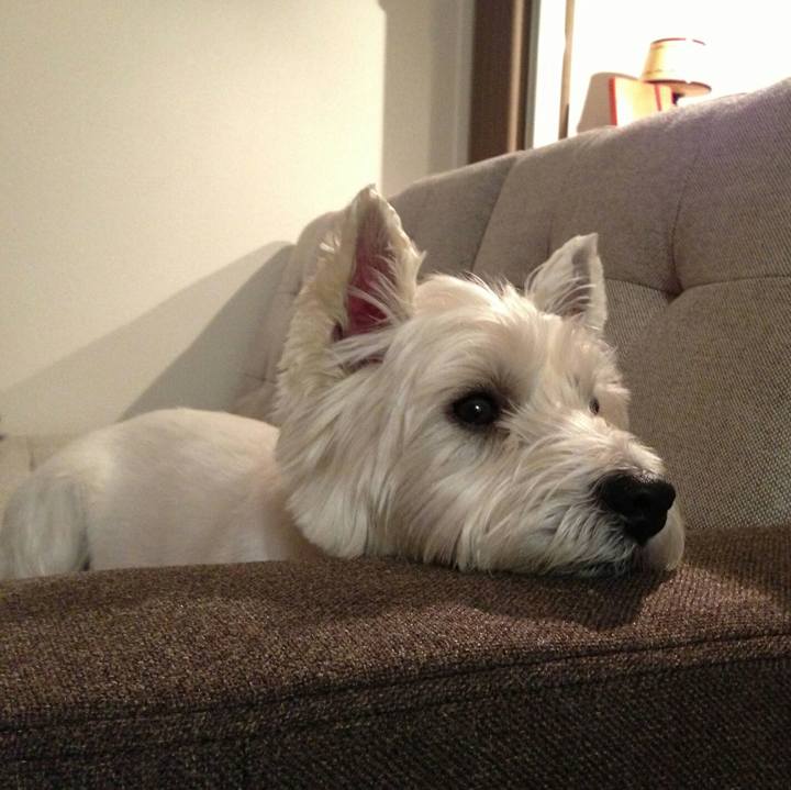 Eee3ac4d 7625 4436 ab2f 0bf8ddc5a559