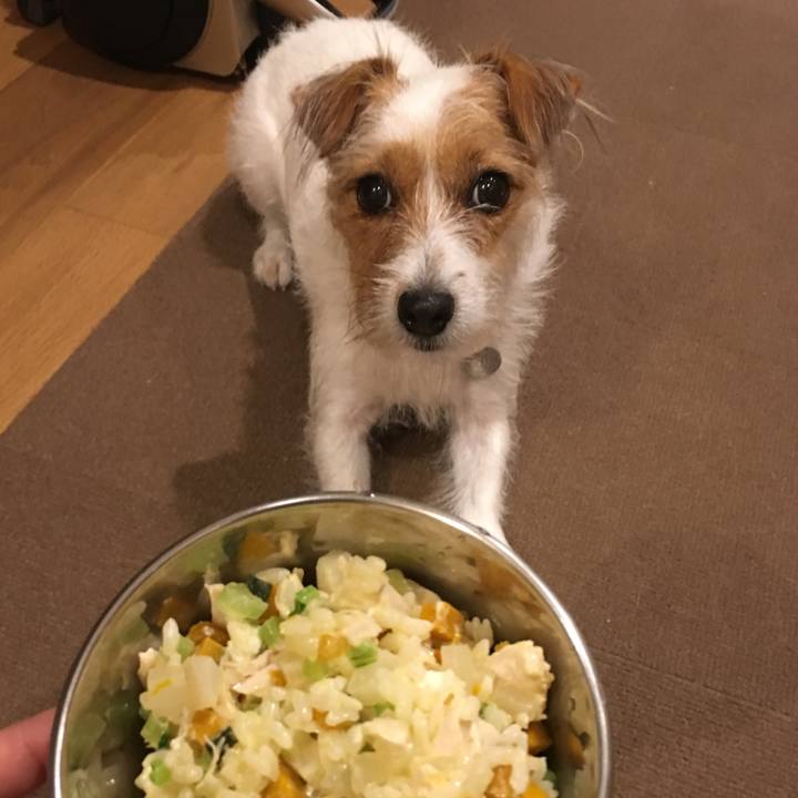 Eee422c0 e987 45c8 80da 7c51cf01006e