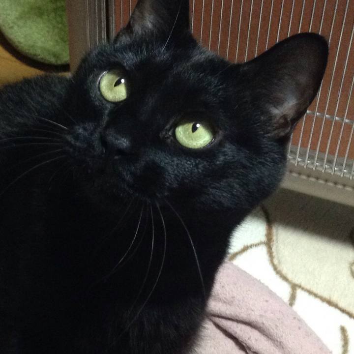 Eee46061 5ee8 43f3 b4c9 1c513c6cbf64