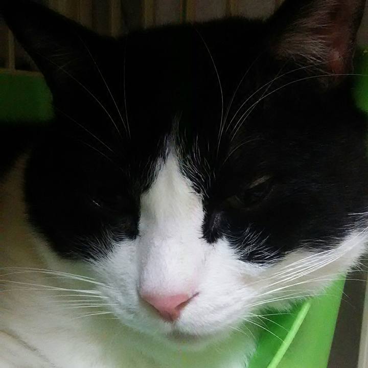 Eee47b7f 7749 456e ac7b 618d1f5ba8d9