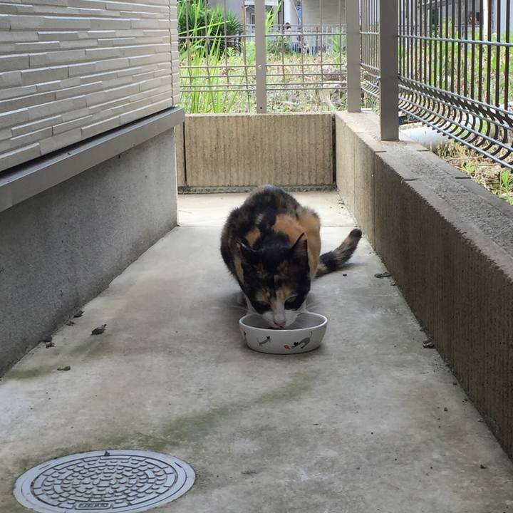 Eee55a0e 44a8 4c12 8b5e d98213676304