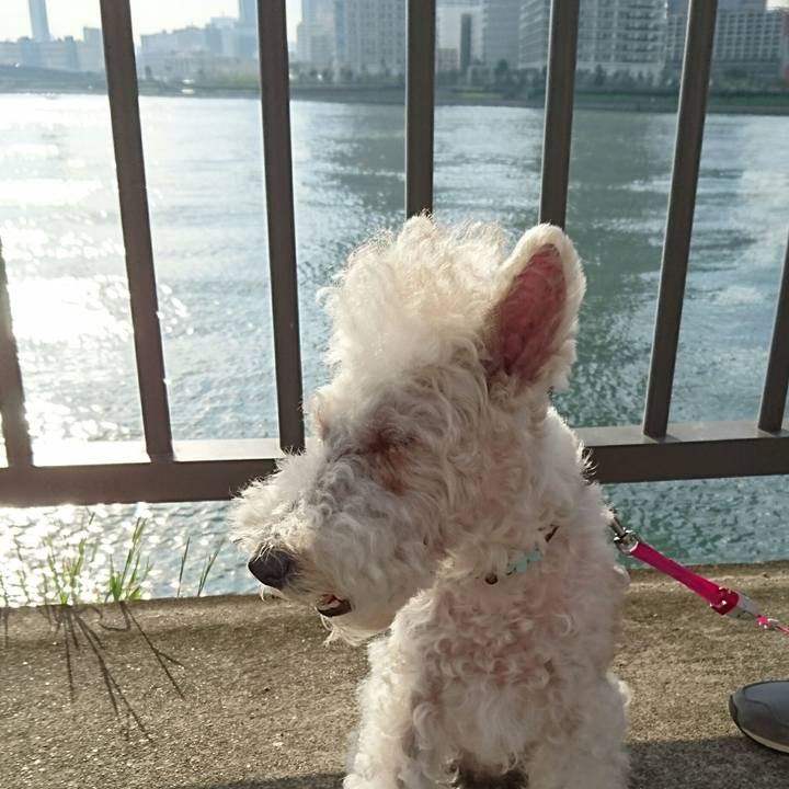 Eee60a52 b18f 4dbb 8864 d4e52d2db28c