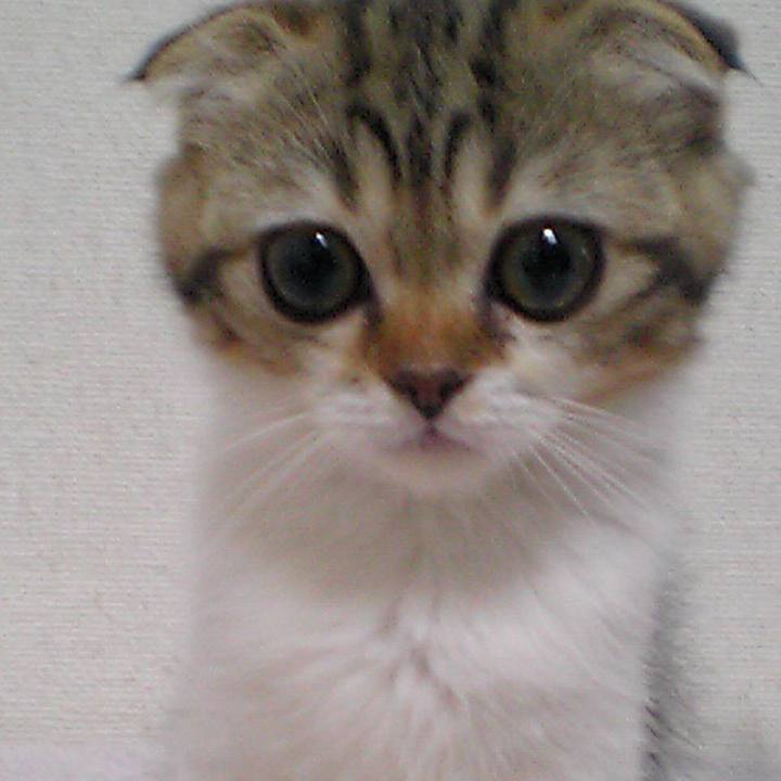 Eee62bd5 28c3 45a1 ae0e 26c7acef457e