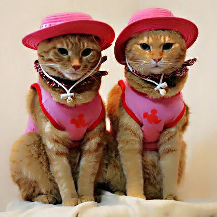 Eee6a780 dcd4 4f61 a794 e10f1f61f94f