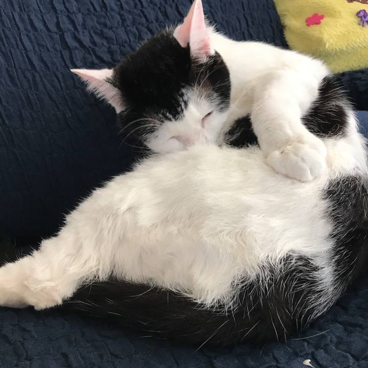 Eee74ce4 ad74 4bc1 8e55 8a9dff8c884b