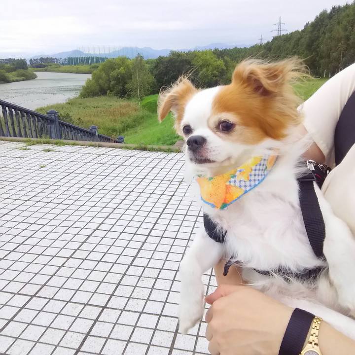 Eee77bf1 ecfa 480e 95ef a853ea5d07a2