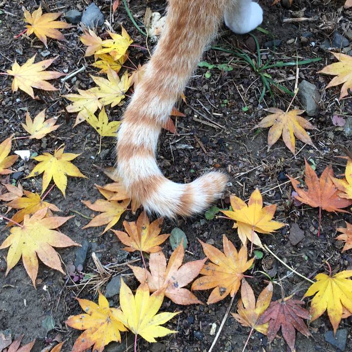 Eee836d7 4c57 4d55 afee f1336417d53c