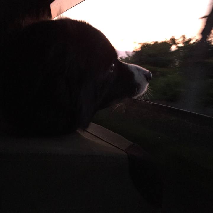 Eee88593 fab5 4b43 bc72 bdde3641807f