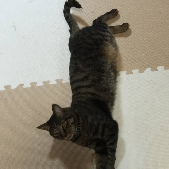 Eee8913c 0e9c 41eb 8303 77e5ba0327b6