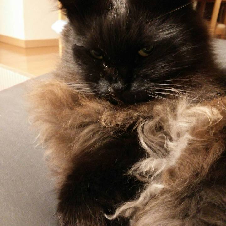 Eee8f640 b5a0 4b18 8e62 241d94be34e1