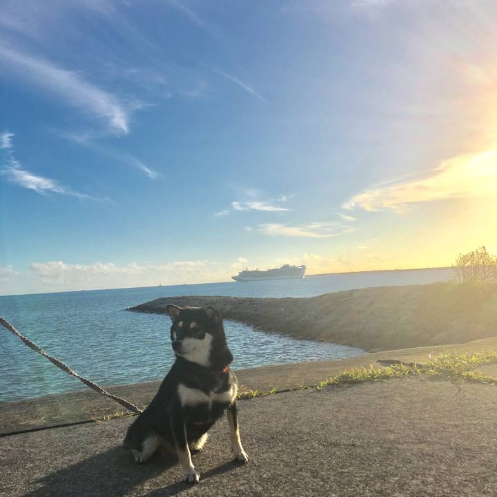 Eee9623c 2f22 4dca a7ff 37a0b075c4e2