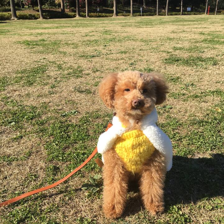 Eee97ff3 c765 4d46 b427 0c4b74127478