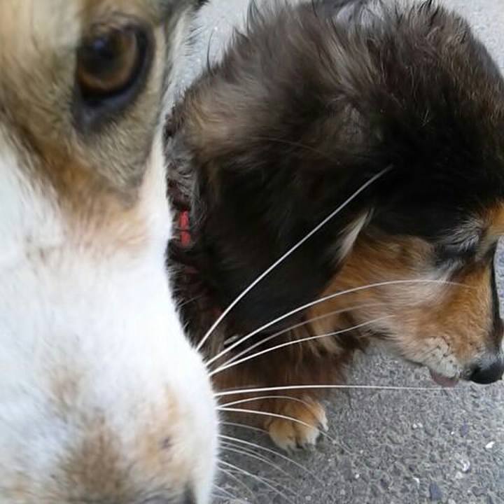 Eee9eab0 5738 469b 9b50 25a13a4d00a3