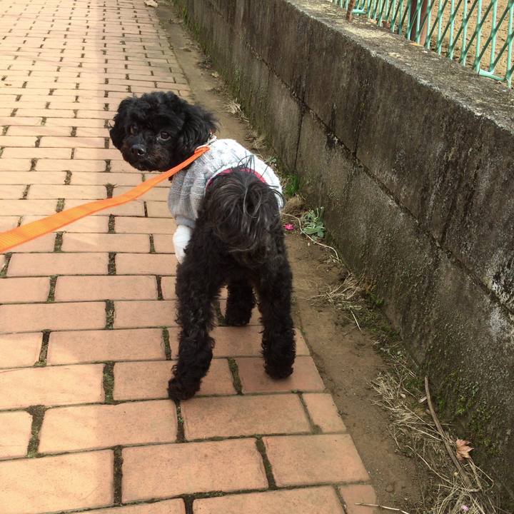 Eeea60bd 34bb 44e3 90a3 f0f3a361bb49