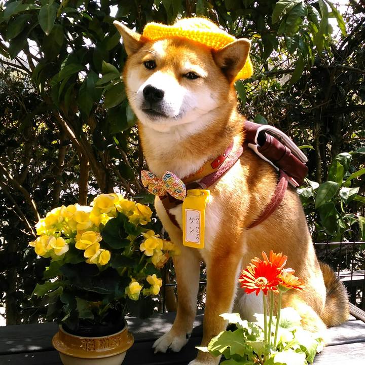 Eeec030f 156f 4d79 8c2e 510e225ad173