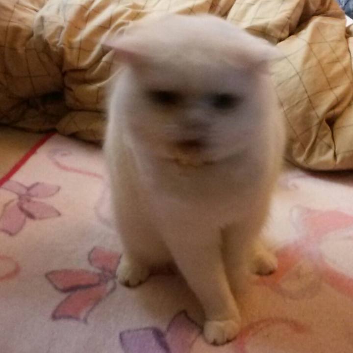 Eeecb774 c65f 43be b941 214fb19fccba