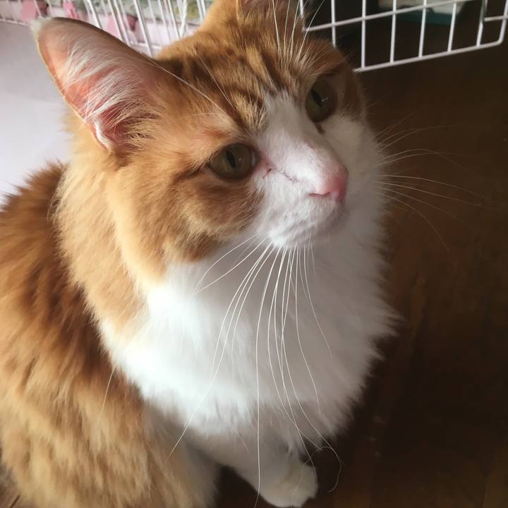 Eeed2fcc 4f82 4f62 8c18 044762da156d