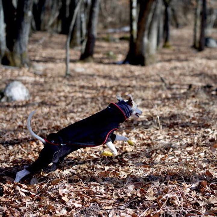 Eeedf970 a16f 4eff a437 7fad163058d0