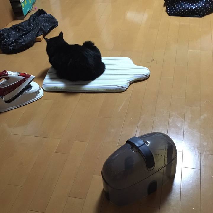 Eeee2d04 bccb 4abd 8325 41b9efad9b4c