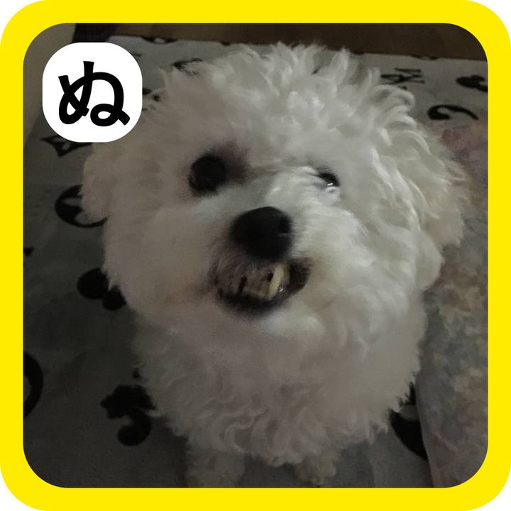 Eeee69c1 3df2 4eb9 9a41 298790313b9e