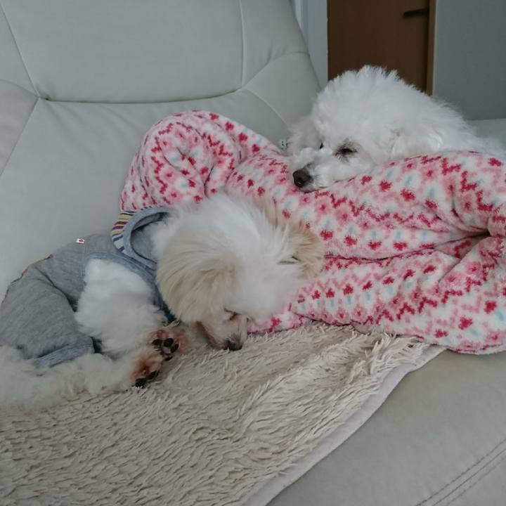 Eeeec890 d42b 4643 b713 bf6b76841ed0