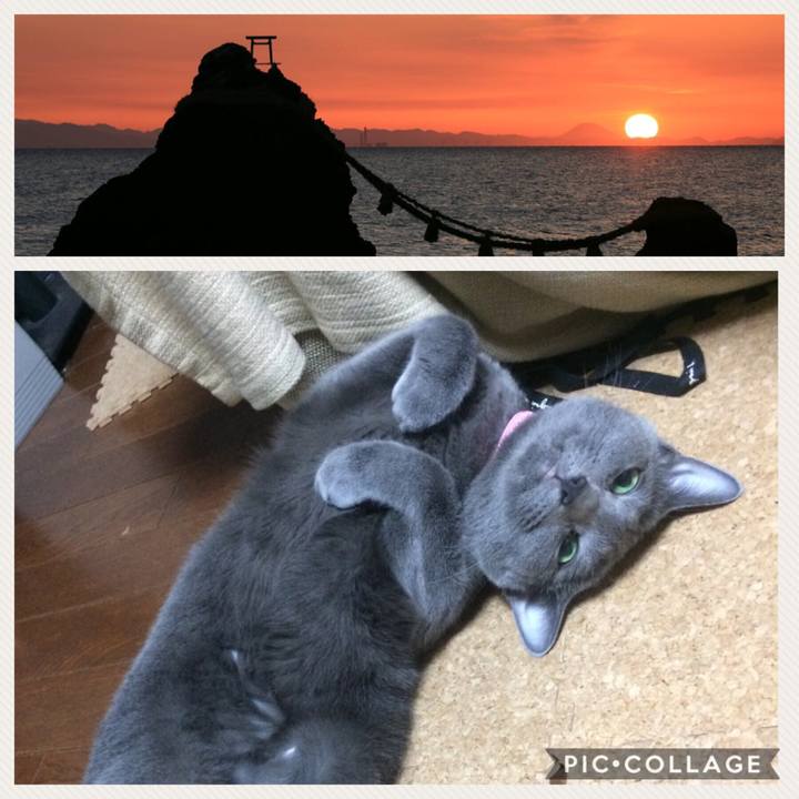 Eeef23f0 12a8 432f 9b9d 35c1028487cf