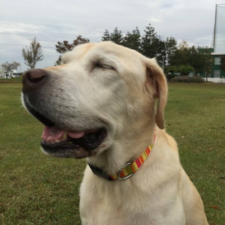 Eeefa3a4 f4db 4256 aab8 ea2faf0800b6