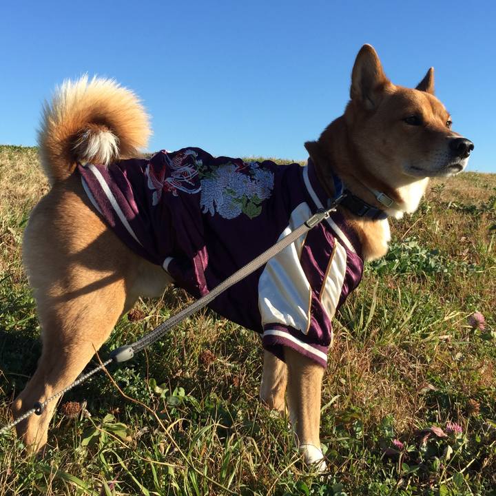 Eef09610 0aa6 4383 ae5b 085ae881b530