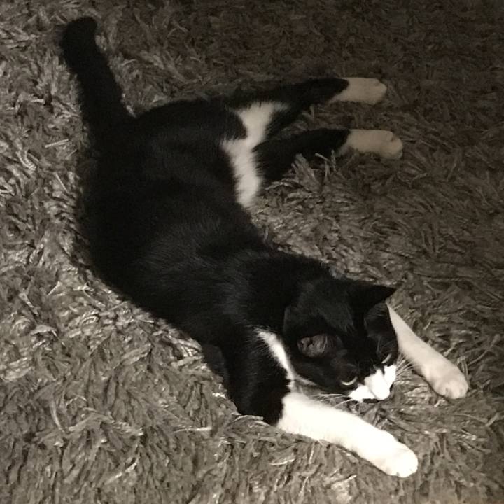 Eef0d3ea 04f8 4af8 8b8a bafeba45ba39