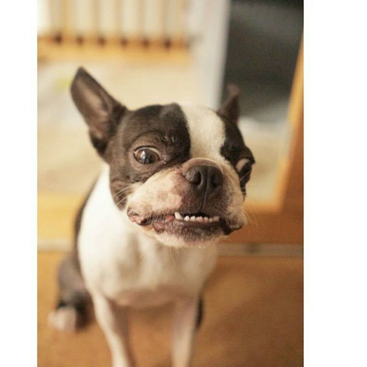 Eef11709 07f9 4456 aeeb 183a3e58359c