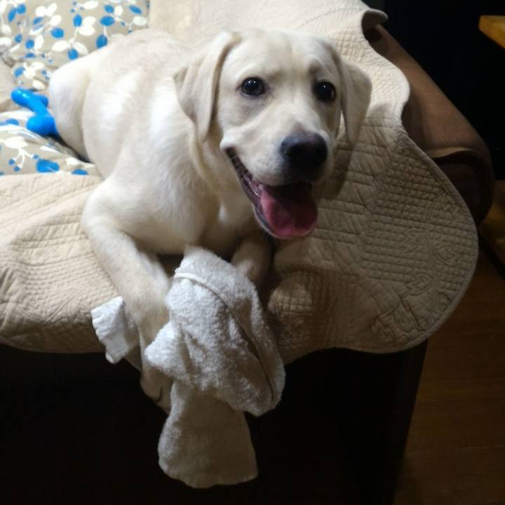 Eef172ff 21b6 4885 bcb3 24160f6b1fac