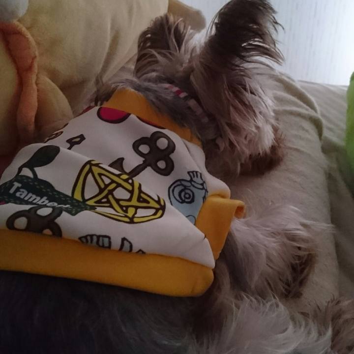 Eef1b142 933b 4f2d 8f76 6d307d61a27d