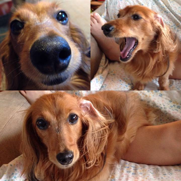 Eef1c8b0 f467 459c b377 2210588e17c9