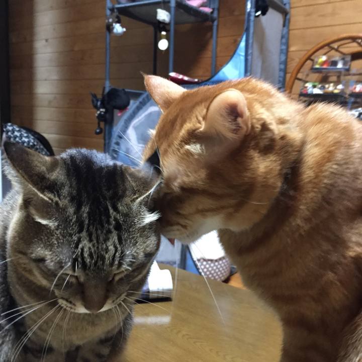 Eef1d9d3 5f11 4e5c 991a 38d15fe7313c