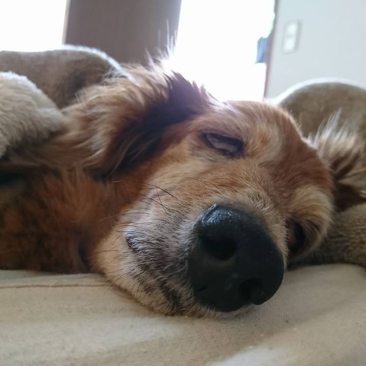 Eef1f97d 2d6e 4bf5 97dd 59140cced09e