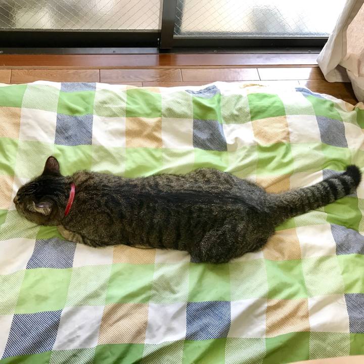 Eef27392 b28e 4e6b a01c b4a4409aa159