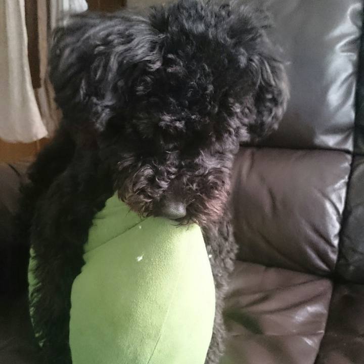 Eef2bf8a 1e63 46d4 a7b9 54c4c99acfff