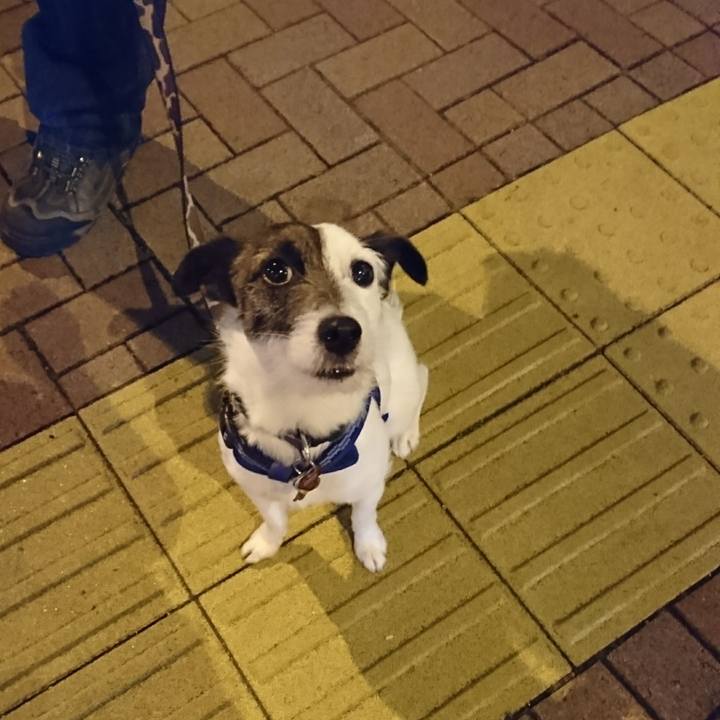 Eef3bd39 184d 442e a4f9 f1e3cac0c183