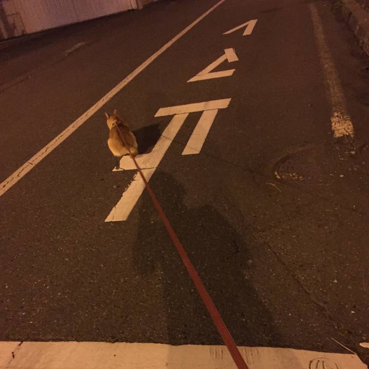 Eef3d1d3 7c06 4153 834e f28686ced114