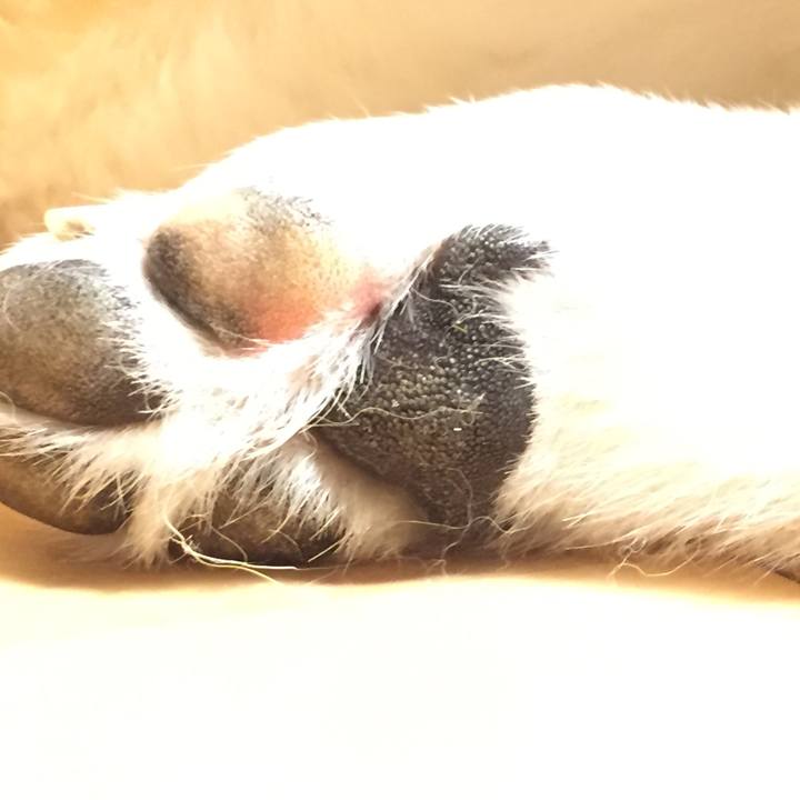 Eef5167d ba99 43a9 90e8 acab638b1632