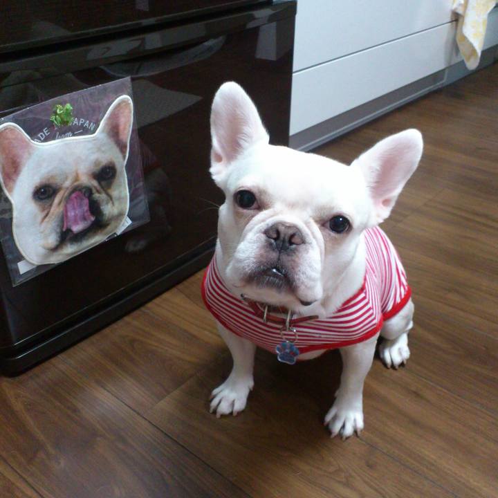 Eef54661 6a86 4ebe 9eb6 5b197929ad15