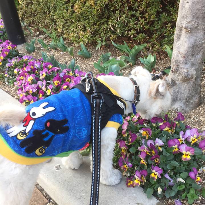 Eef5a6a7 2d63 4aea b4aa ccef2bd2d04c