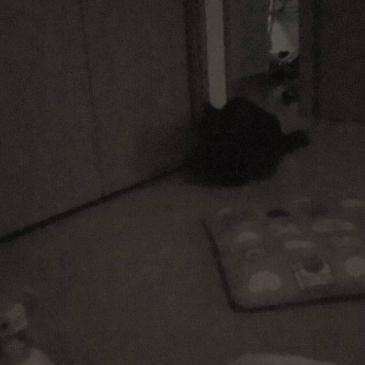 Eef64e7b 7294 425f 8592 395de6df893a