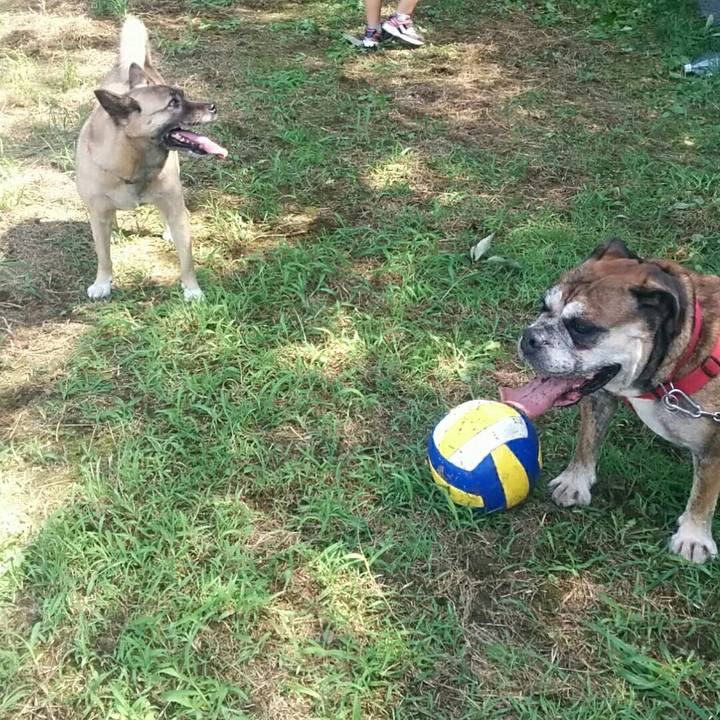 Eef6ec23 d0f0 4a73 a81b 2549cc665d7d