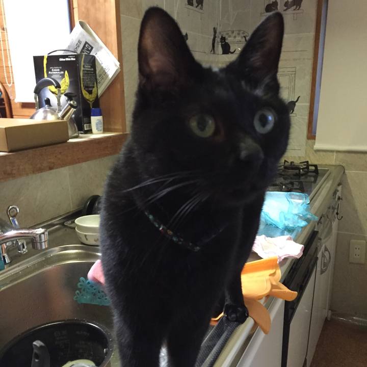 Eef75d74 a33f 4a23 9650 3cb877bac99c