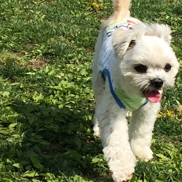 Eef80405 89db 4838 8100 9c162b1bc57b