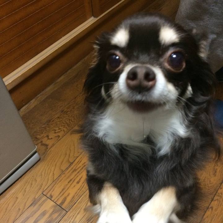 Eef82622 d41e 4166 8575 9f2045767a02