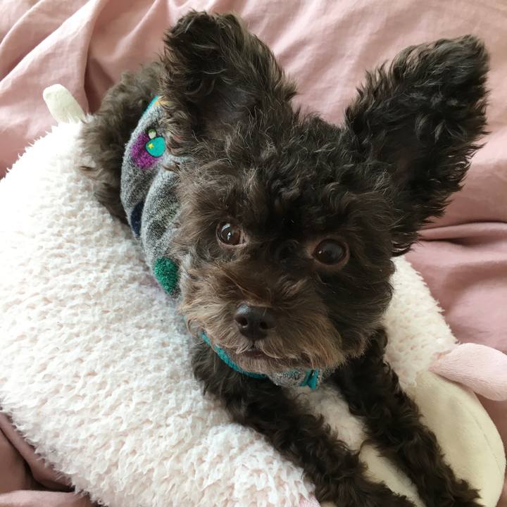 Eef82ffb af94 4bb8 8683 70062e0a299e