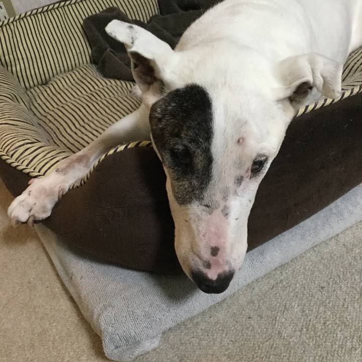 Eef865e4 b15b 4499 b60f 507ad9d74fb8